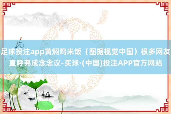 足球投注app黄焖鸡米饭（图据视觉中国）很多网友直呼弗成念念议-买球·(中国)投注APP官方网站