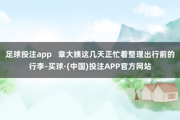 足球投注app   章大姨这几天正忙着整理出行前的行李-买球·(中国)投注APP官方网站