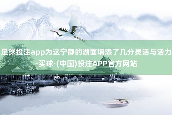 足球投注app为这宁静的湖面增添了几分灵活与活力-买球·(中国)投注APP官方网站