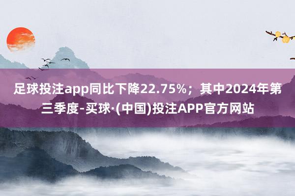 足球投注app同比下降22.75%；其中2024年第三季度-买球·(中国)投注APP官方网站