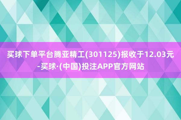 买球下单平台腾亚精工(301125)报收于12.03元-买球·(中国)投注APP官方网站