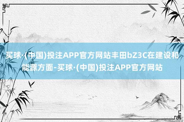 买球·(中国)投注APP官方网站丰田bZ3C在建设和能源方面-买球·(中国)投注APP官方网站