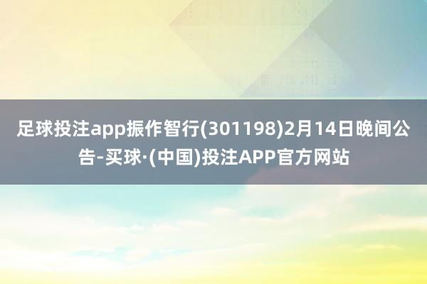 足球投注app振作智行(301198)2月14日晚间公告-买球·(中国)投注APP官方网站