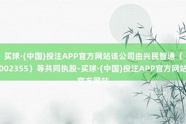 买球·(中国)投注APP官方网站该公司由兴民智通（002355）等共同执股-买球·(中国)投注APP官方网站