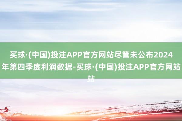 买球·(中国)投注APP官方网站尽管未公布2024年第四季度利润数据-买球·(中国)投注APP官方网站