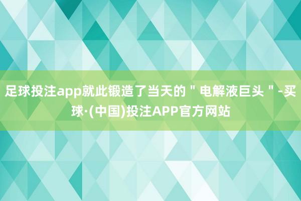 足球投注app就此锻造了当天的"电解液巨头"-买球·(中国)投注APP官方网站