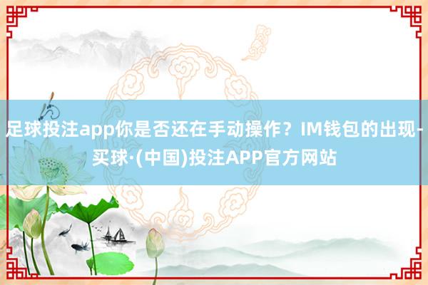 足球投注app你是否还在手动操作?IM钱包的出现-买球·(中国)投注APP官方网站