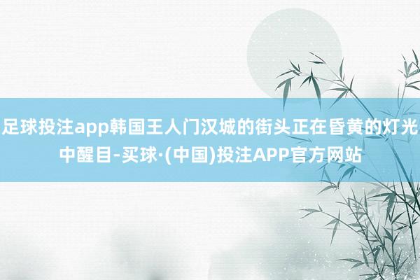 足球投注app韩国王人门汉城的街头正在昏黄的灯光中醒目-买球·(中国)投注APP官方网站