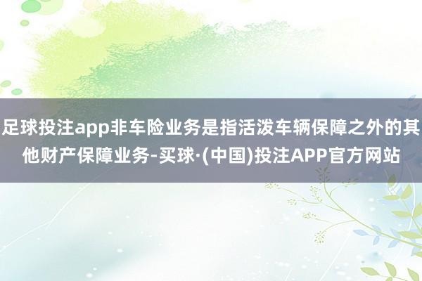 足球投注app非车险业务是指活泼车辆保障之外的其他财产保障业务-买球·(中国)投注APP官方网站